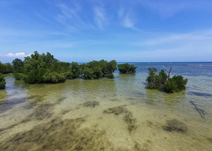 Tropical Oasis-Private Access Beachfront Kubo